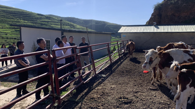 开云网页版页面登录党委书记、董事长宋忠庆一行赴卓尼县柳林镇帮扶村调研慰问